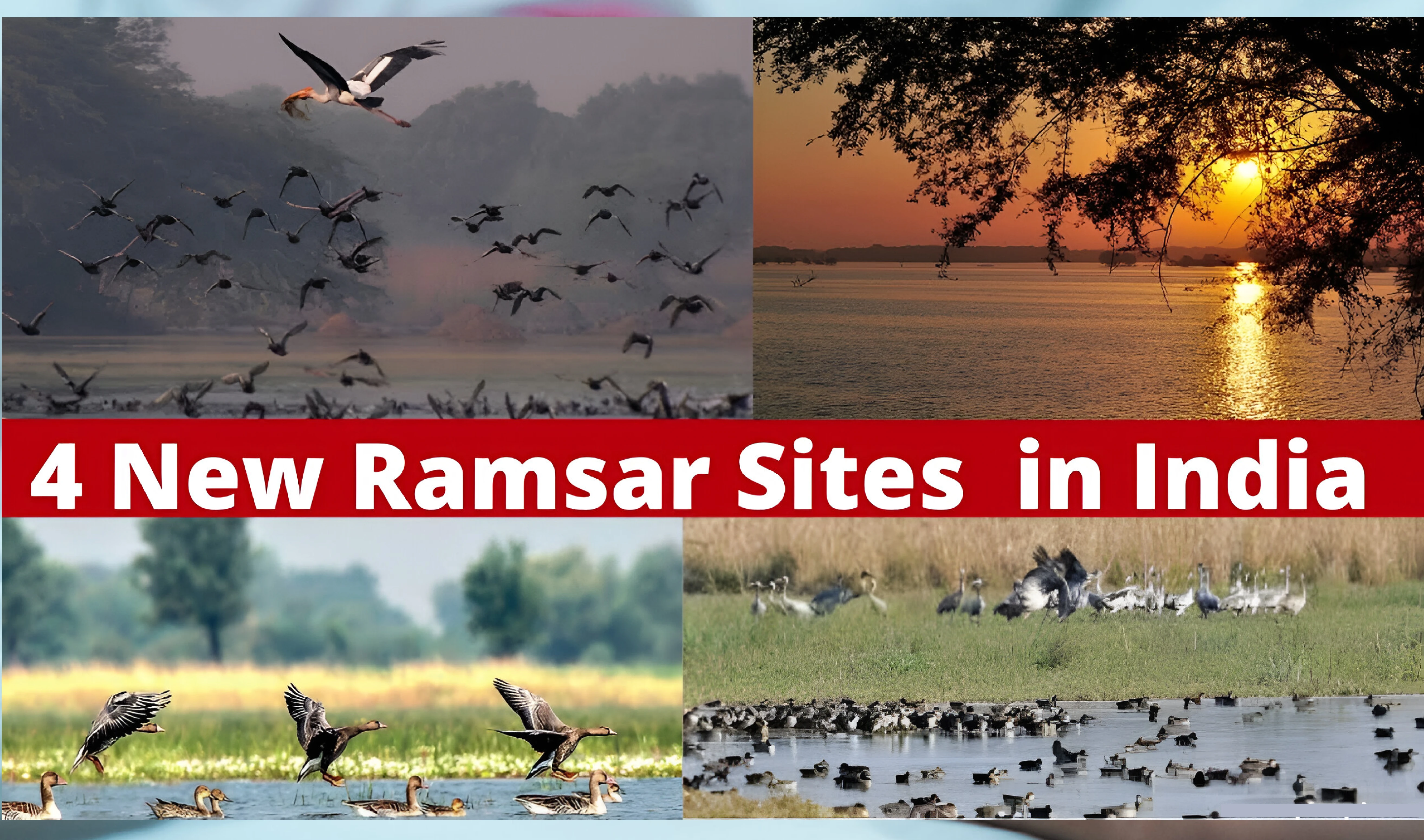 Four more wetlands included under the Ramsar Convention 