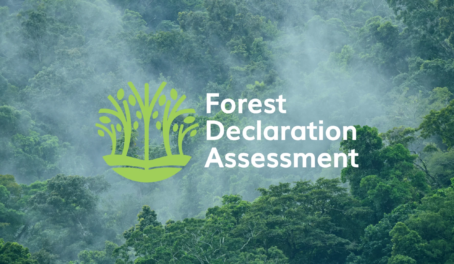 2030 Global Forest Vision (GFV): Priority Actions for Governments in 2025 released by Forest Declaration Assessment