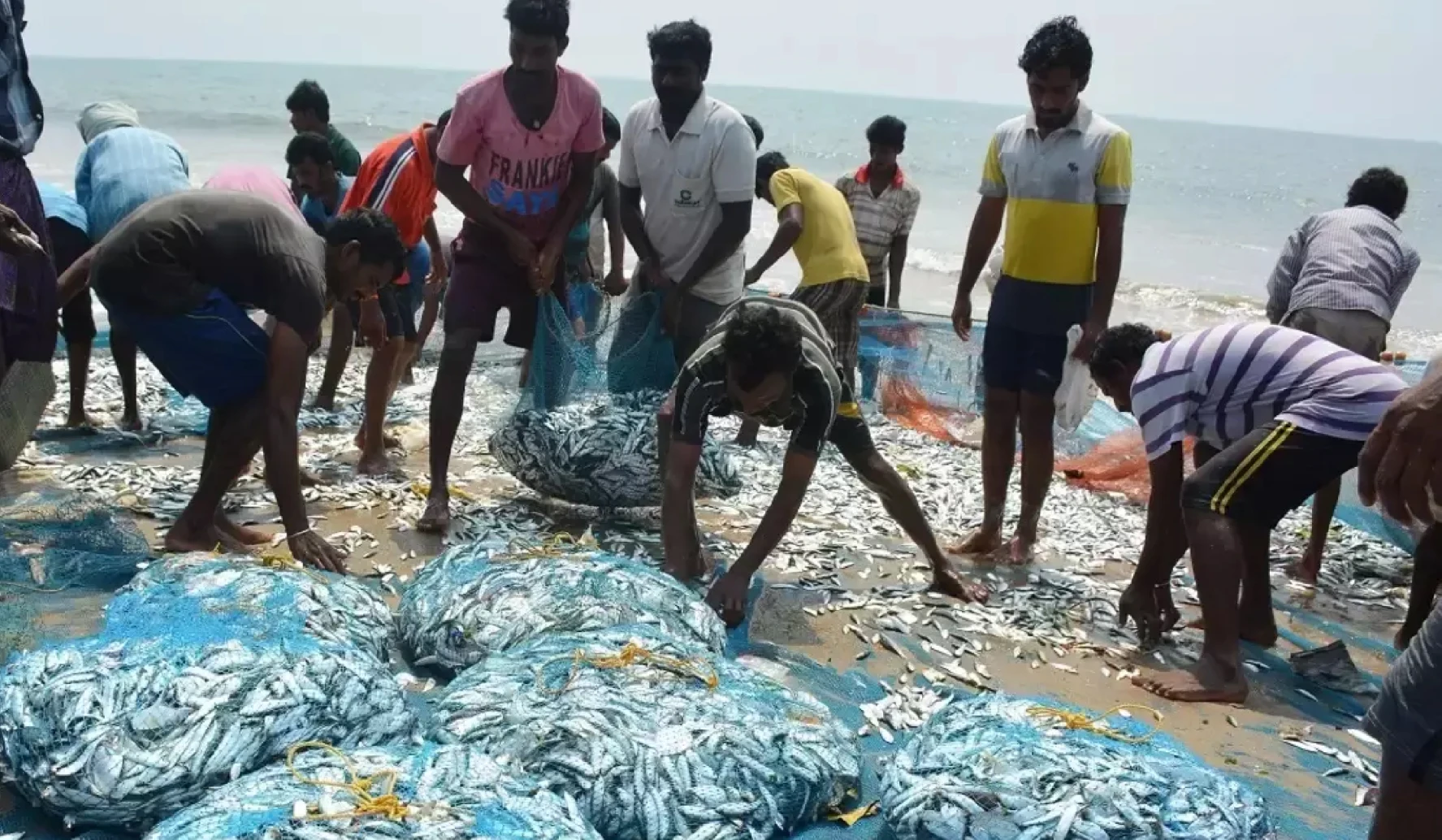Parliamentary Standing Committee on Agriculture Submits Report on Fisheries Sector