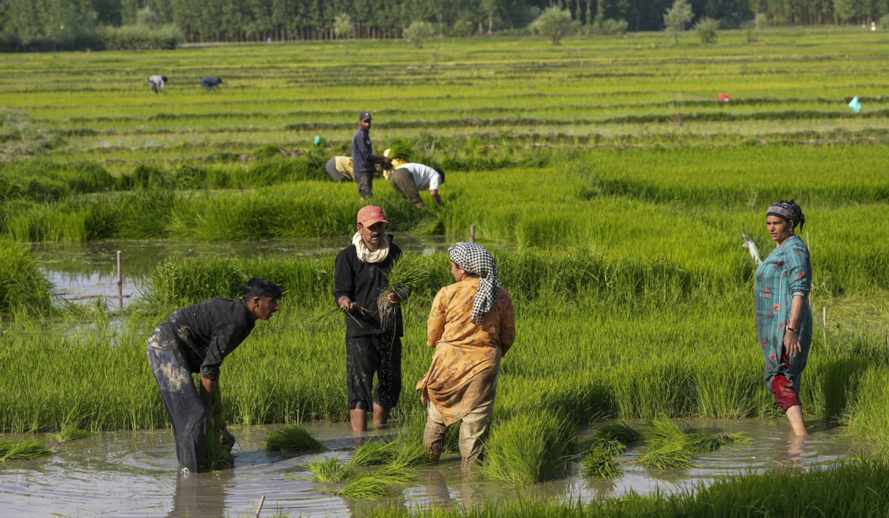 Prime Minister Dhan Dhaanya Krishi Yojana