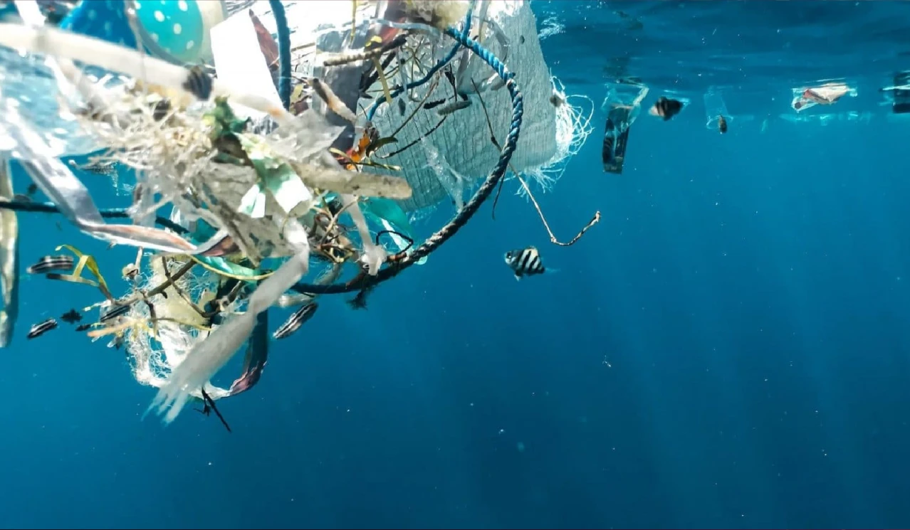 UNHRC adopts resolution linking ocean protection and human right to a healthy environment