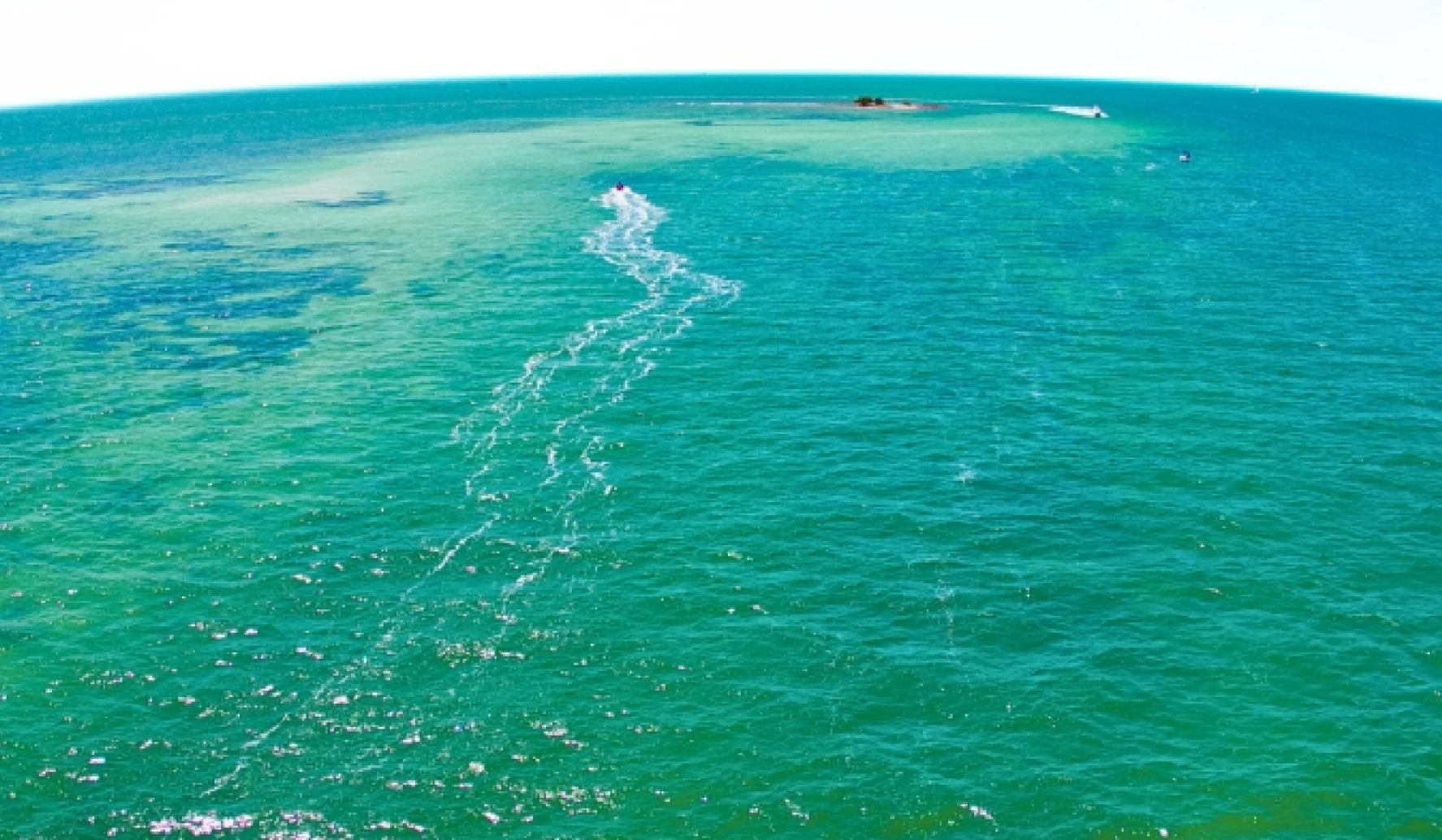 Oceans Were Once Green, Could Change Colour Again: Study