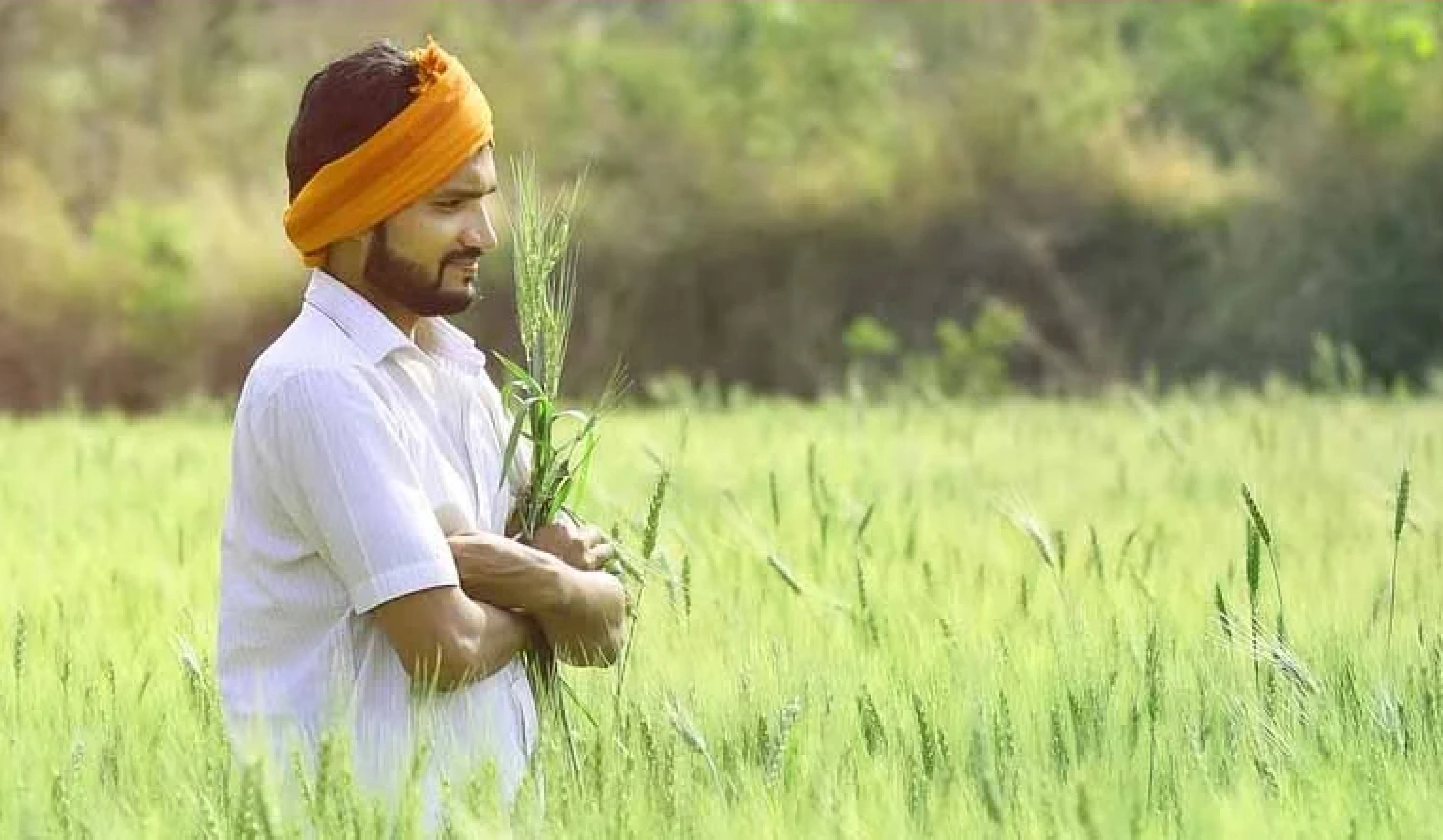 Pradhan Mantri Kisan Sampada Yojana (PMKSY) Revised Operational Guidelines For Cold Chain Scheme