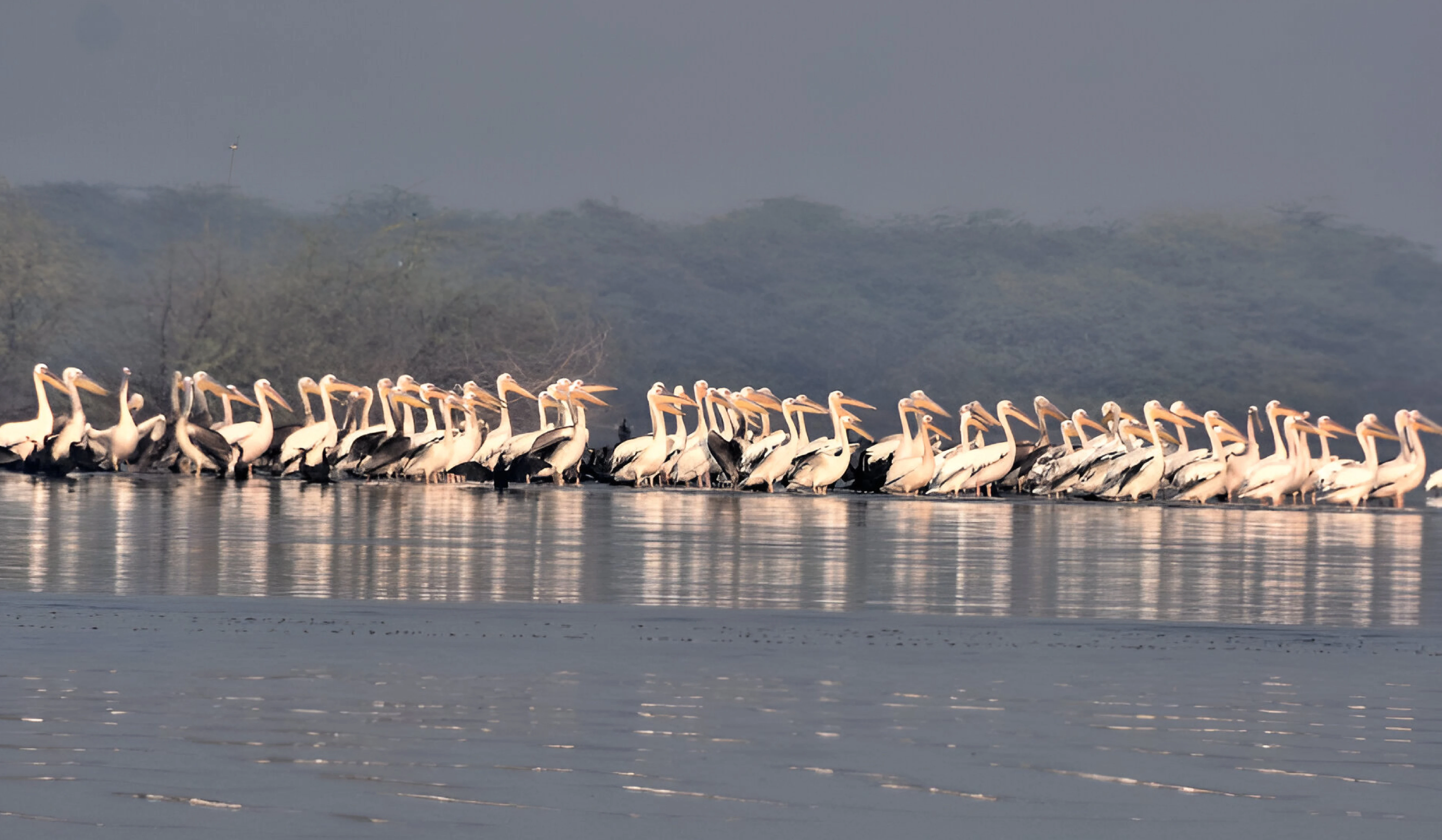 India added two more wetland into Ramsar List of Wetlands of International Importance