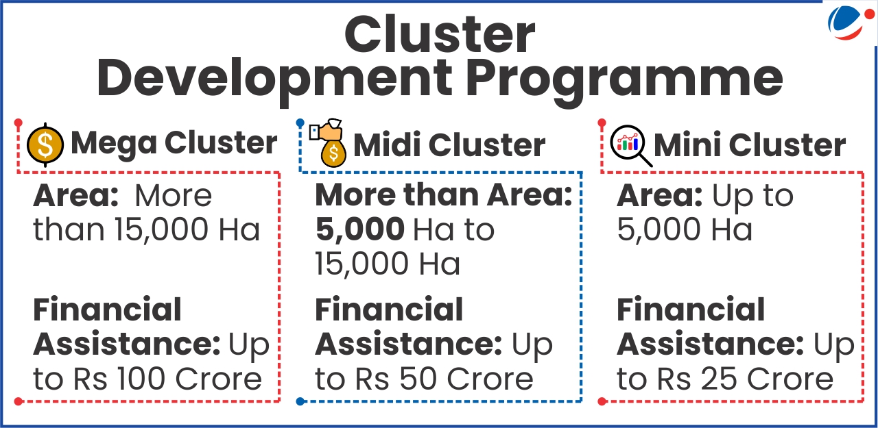 Infographic displaying the Cluster Development Programme's three tiers: Mega Cluster (>15,000 Ha, Rs 100 Crore), Midi Cluster (5,000-15,000 Ha, Rs 50 Crore), and Mini Cluster (up to 5,000 Ha, Rs 25 Crore).