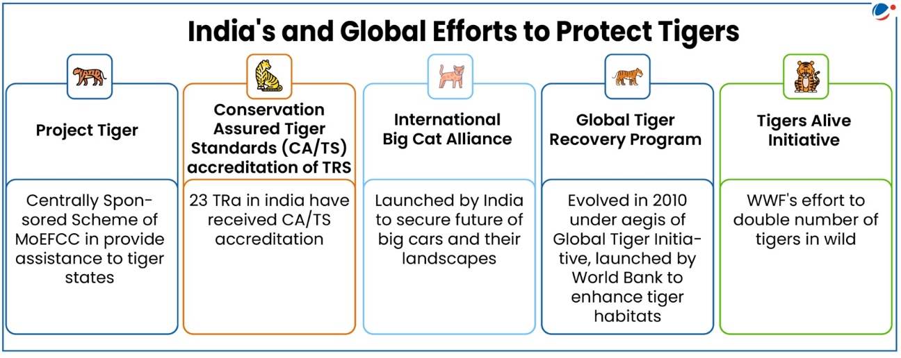 An image showing detail of Protecting Tigers