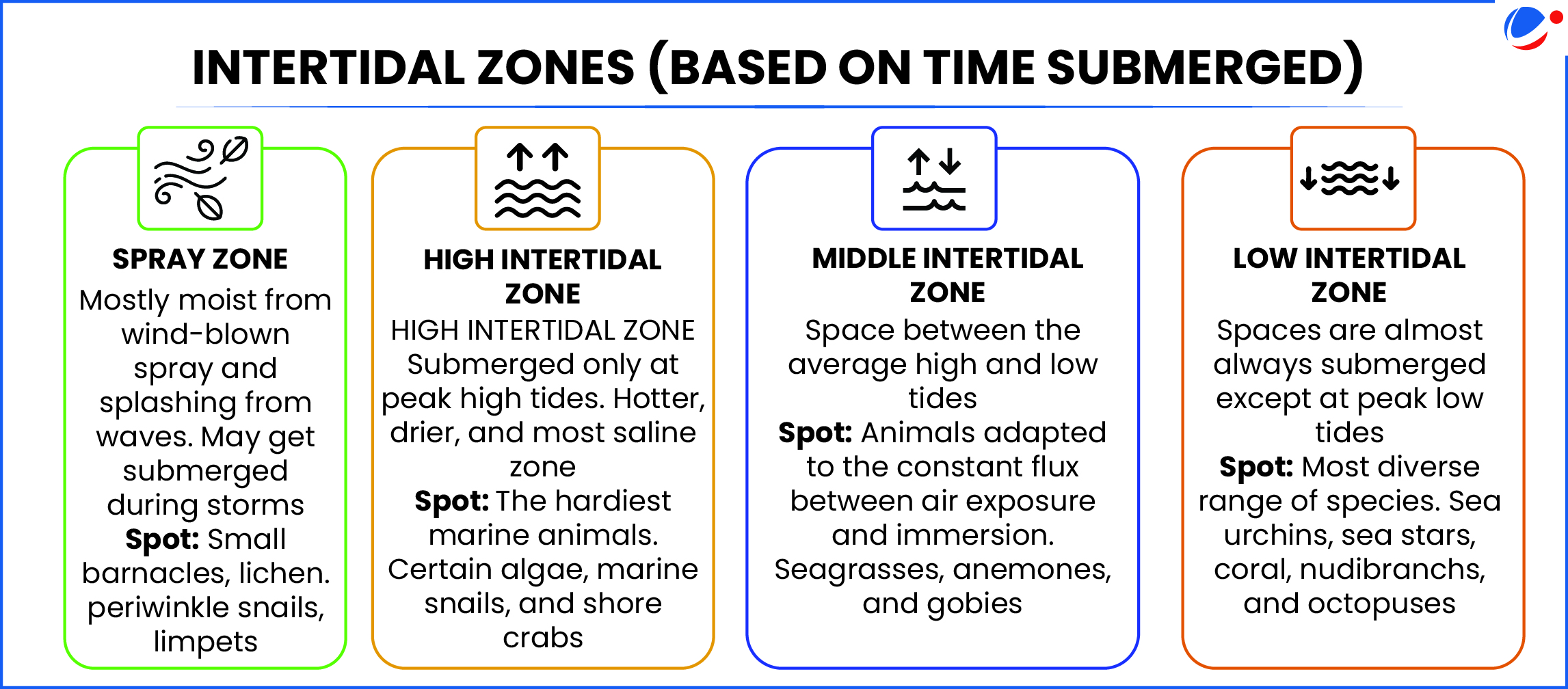 An infographic depicting intertidal zones