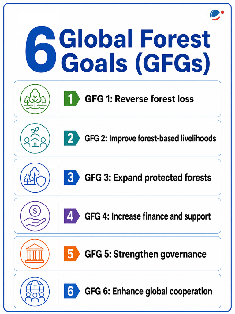 6 GFG