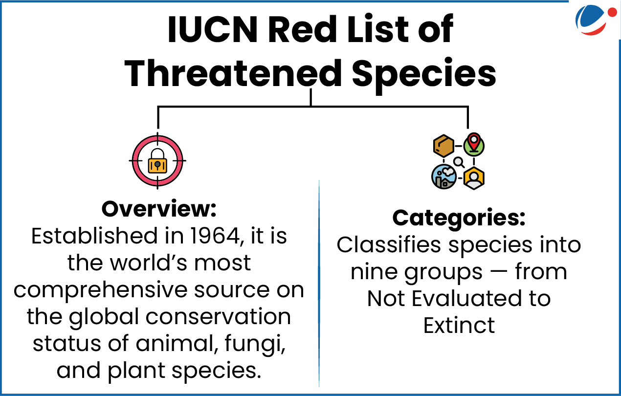 "Infographic about the IUCN Red List of Threatened Species, divided into two sections. Left section titled 'Overview' with a target and lock icon, states: Established in 1964, it is the world's most comprehensive source on the global conservation status of animal, fungi, and plant species. Right section titled 'Categories' with icons representing various classification elements (hexagons, location pin, magnifying glass, globe, and user symbols), states: Classifies species into nine groups — from Not Evaluated to Extinct."