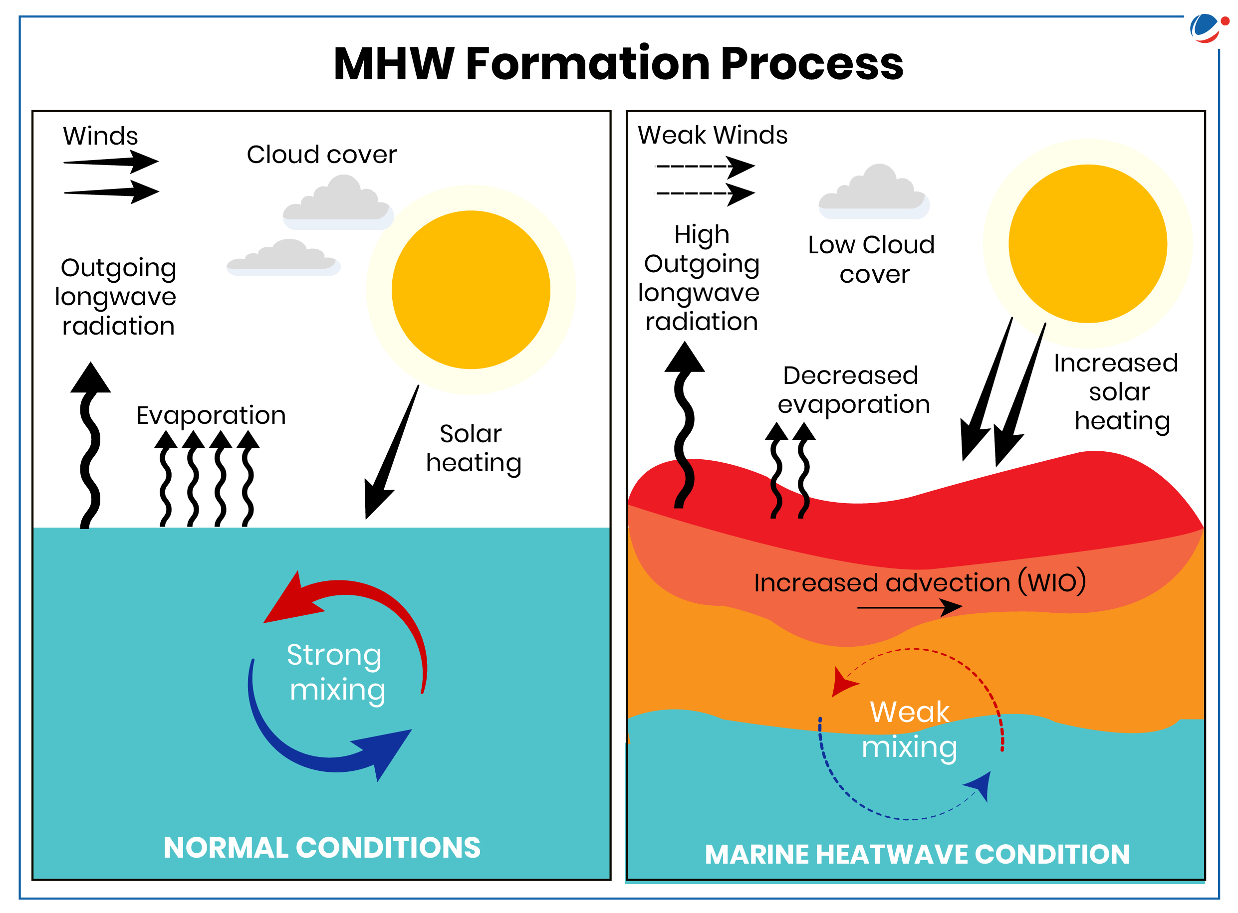 A diagram titled "MHW Formation Process" compares normal and marine heatwave (MHW) conditions. It illustrates factors like winds, cloud cover, evaporation, and solar heating. Strong mixing in normal conditions contrasts with weak mixing and increased advection in MHW conditions.