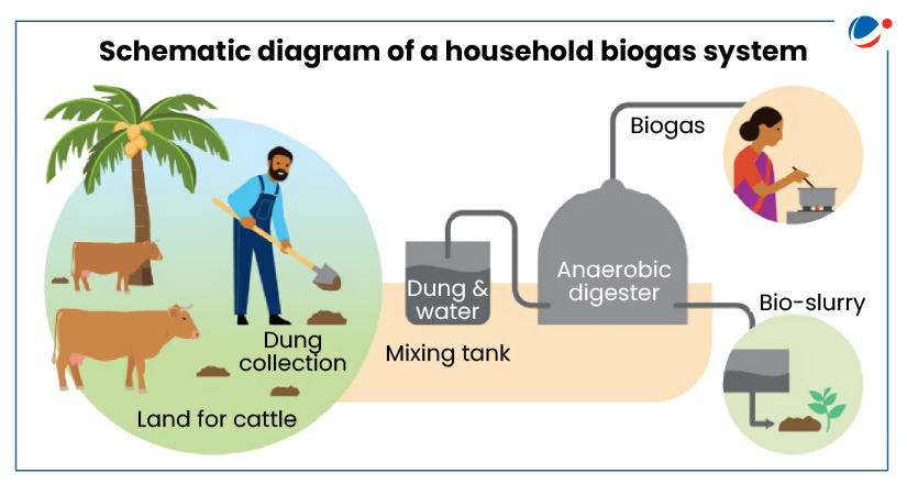 The below infographic shows schematic diagram of a houshold biogas system. 