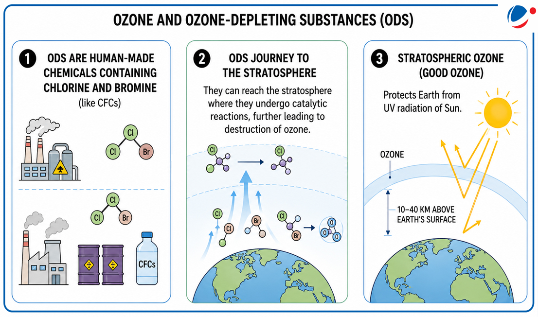 Information about Ozone and Ozone depleting substances