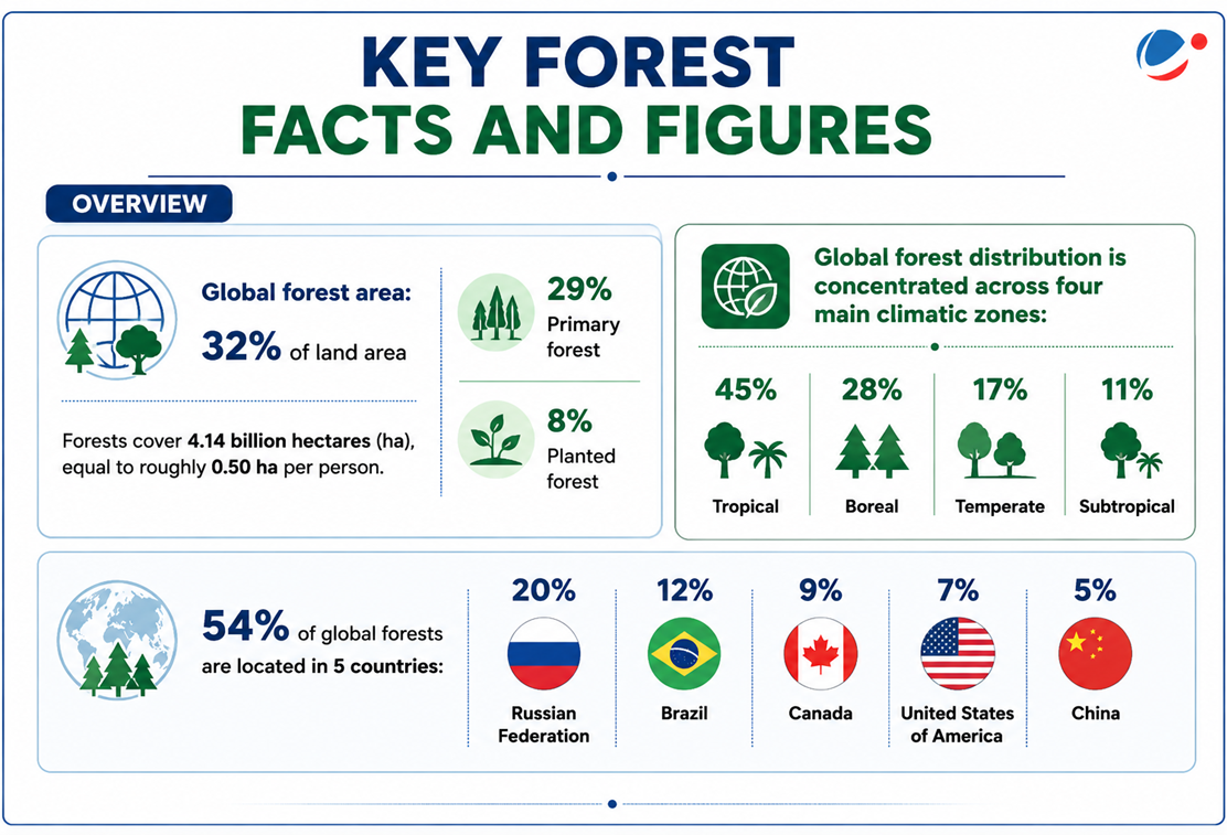 Key Forest Facts and figures