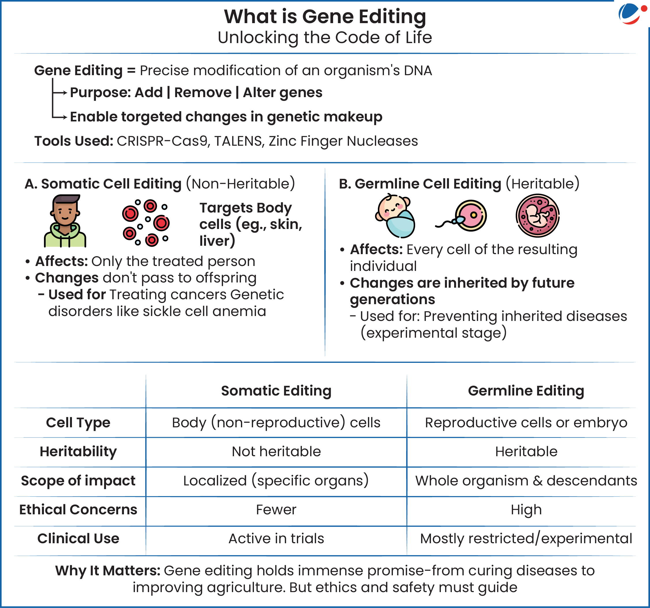 An image showing details of Gene Editing. Difference between Somatic and Germline editing is also done