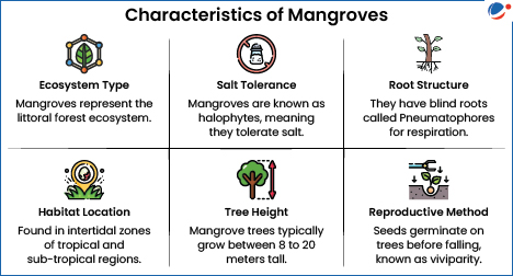 An infographic showing Characteristics of Mangroves