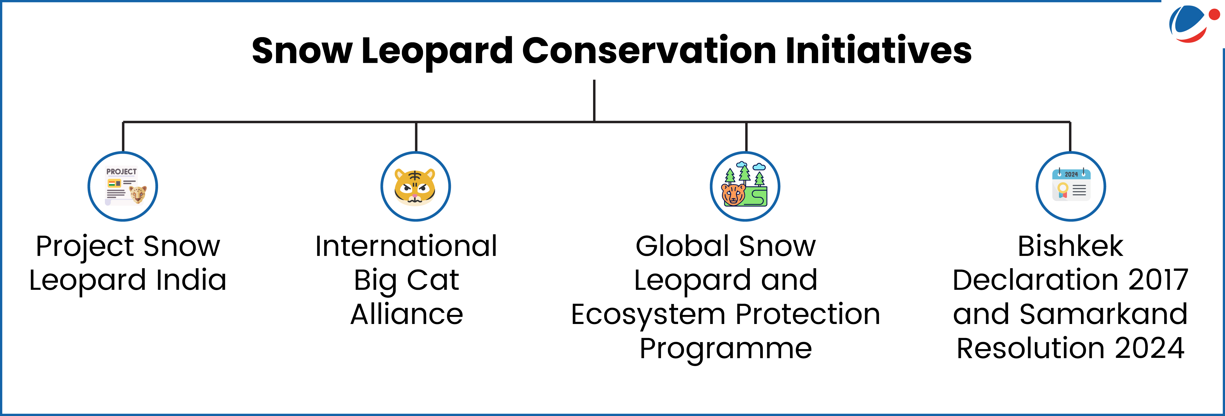 An infographic showing Conservation Initiatives for Snow Leopard
