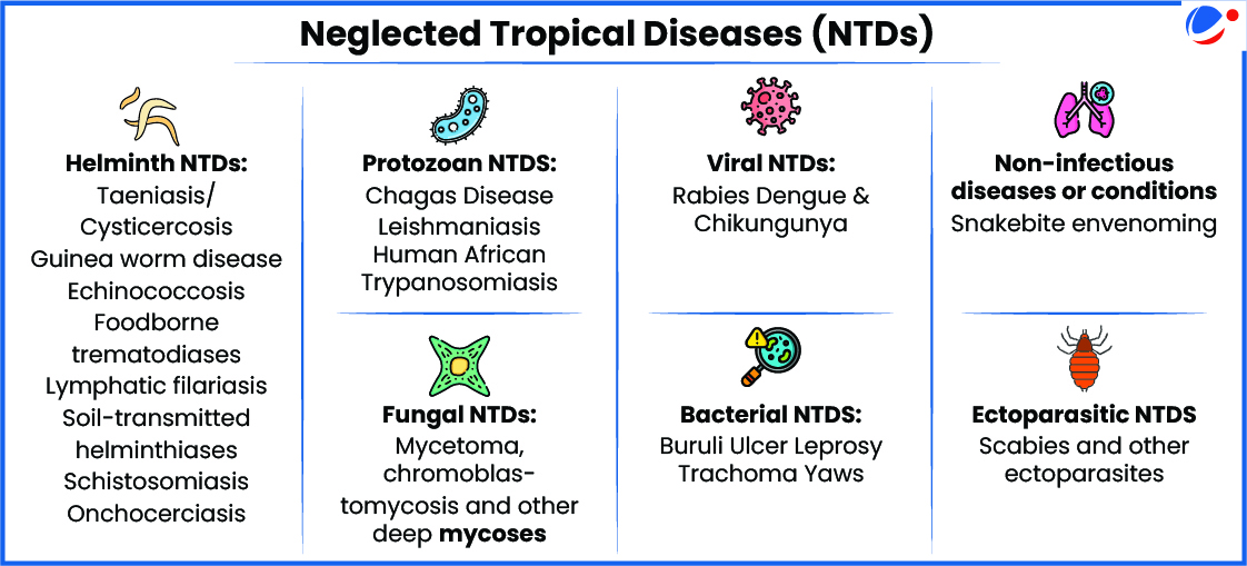 This image provides a classification of Neglected Tropical Diseases (NTDs) into various categories: helminth NTDs (such as Taeniasis and Lymphatic Filariasis), protozoan NTDs (like Leishmaniasis), viral NTDs (such as Rabies and Dengue), bacterial NTDs (including Leprosy), fungal NTDs, non-infectious diseases like snakebite envenoming, and ectoparasitic NTDs such as scabies.