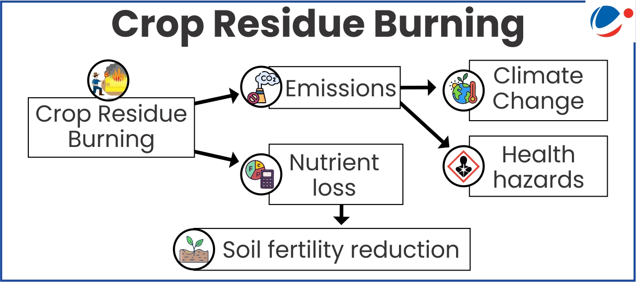 An image detailing impact of crop residue burning