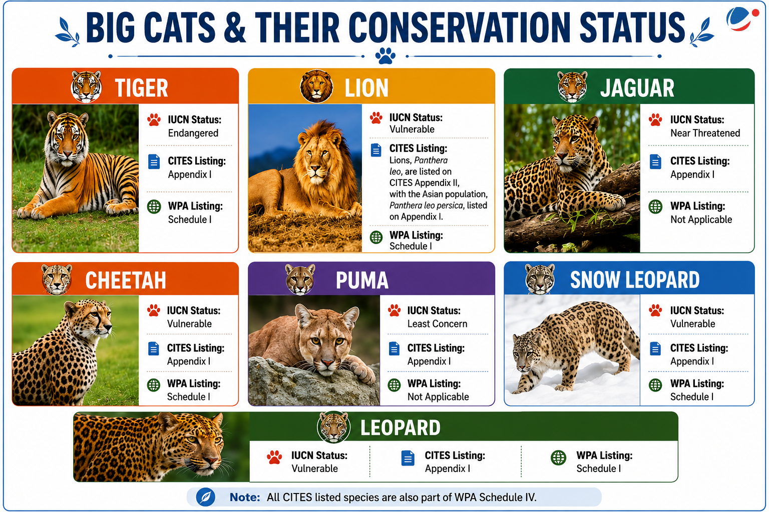 Infographic titled