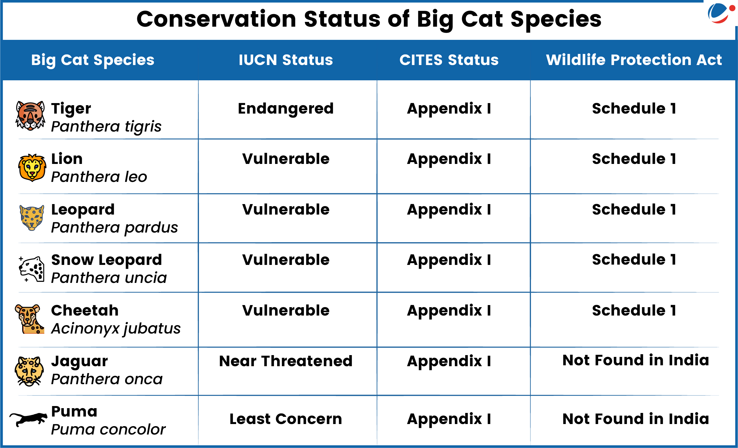 A table titled "Conservation Status of Big Cat Species" compares the protection status of various big cats across three frameworks: IUCN Status, CITES Status, and India’s Wildlife Protection Act.  Tiger (Panthera tigris): Endangered (IUCN), Appendix I (CITES), Schedule 1 (India)  Lion (Panthera leo): Vulnerable (IUCN), Appendix I (CITES), Schedule 1 (India)  Leopard (Panthera pardus): Vulnerable (IUCN), Appendix I (CITES), Schedule 1 (India)  Snow Leopard (Panthera uncia): Vulnerable (IUCN), Appendix I (CITES), Schedule 1 (India)  Cheetah (Acinonyx jubatus): Vulnerable (IUCN), Appendix I (CITES), Schedule 1 (India)  Jaguar (Panthera onca): Near Threatened (IUCN), Appendix I (CITES), Not found in India  Puma (Puma concolor): Least Concern (IUCN), Appendix I (CITES), Not found in India