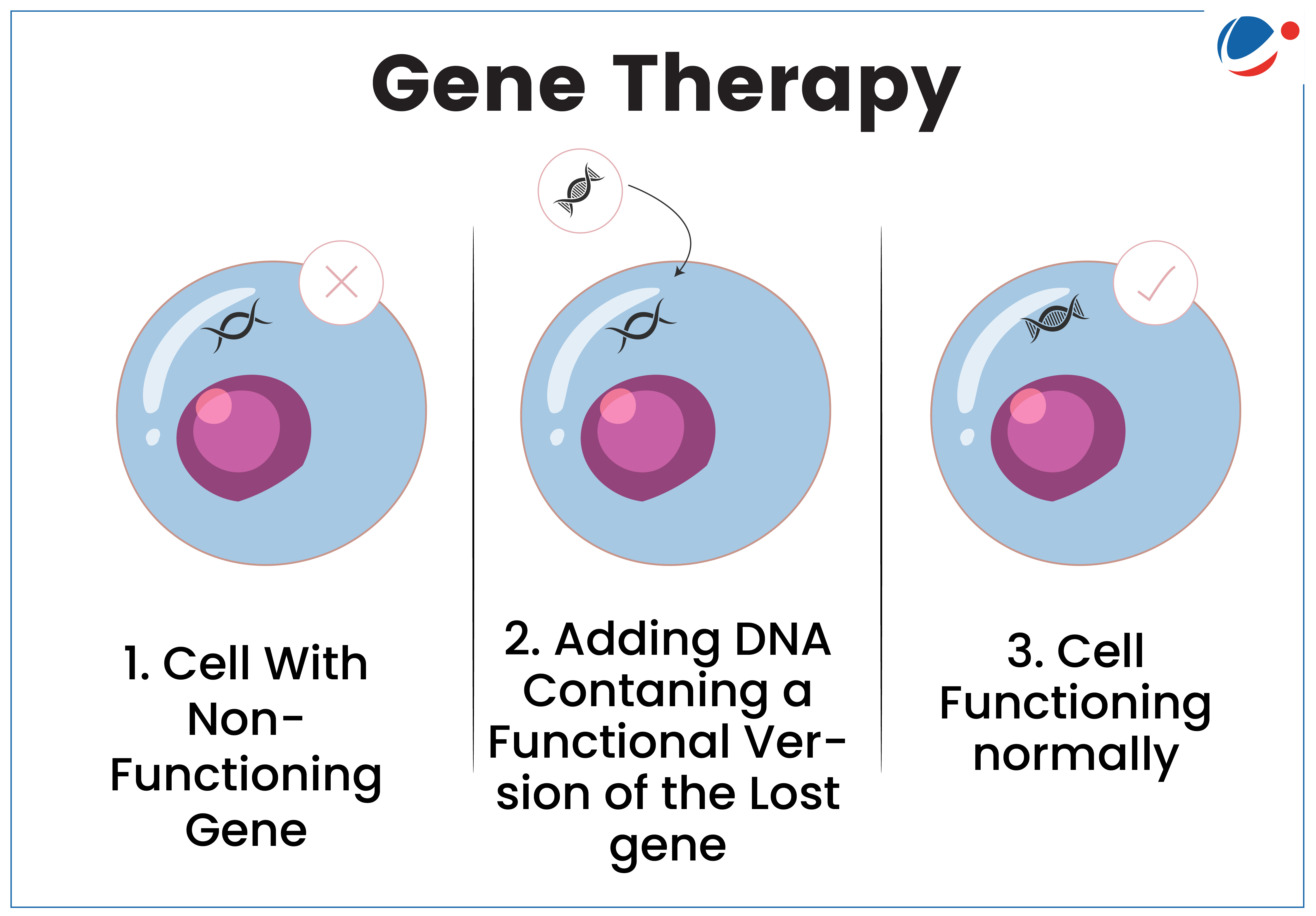 Image representing Gene Therapy process 