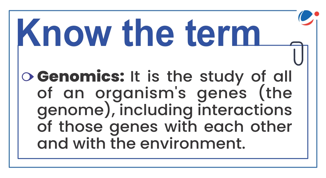 This image provides a brief definition of the term "Genomics." It states that genomics is the study of all of an organism's genes (the genome), including the interactions of those genes with each other and with the environment.