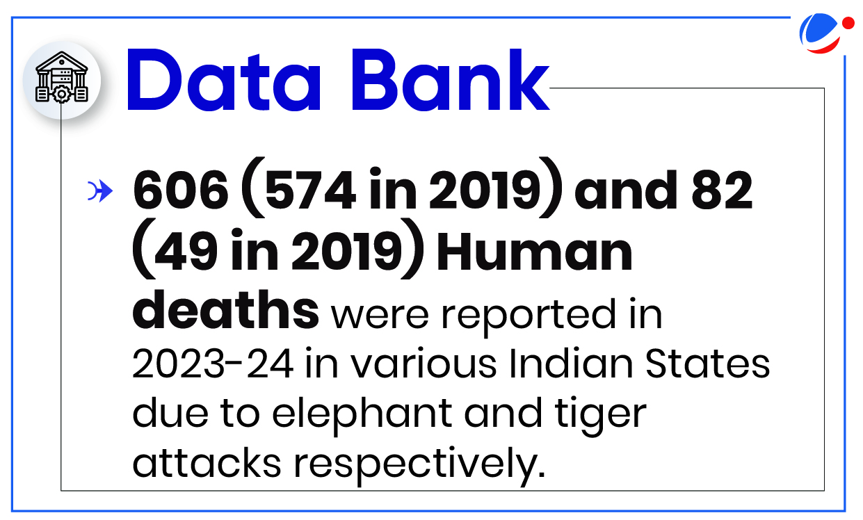 Infographic titled "Data Bank" showing statistics on human deaths in Indian states due to wildlife attacks. It reports 606 (574 in 2019) deaths by elephants and 82 (49 in 2019) by tigers for 2023-24.