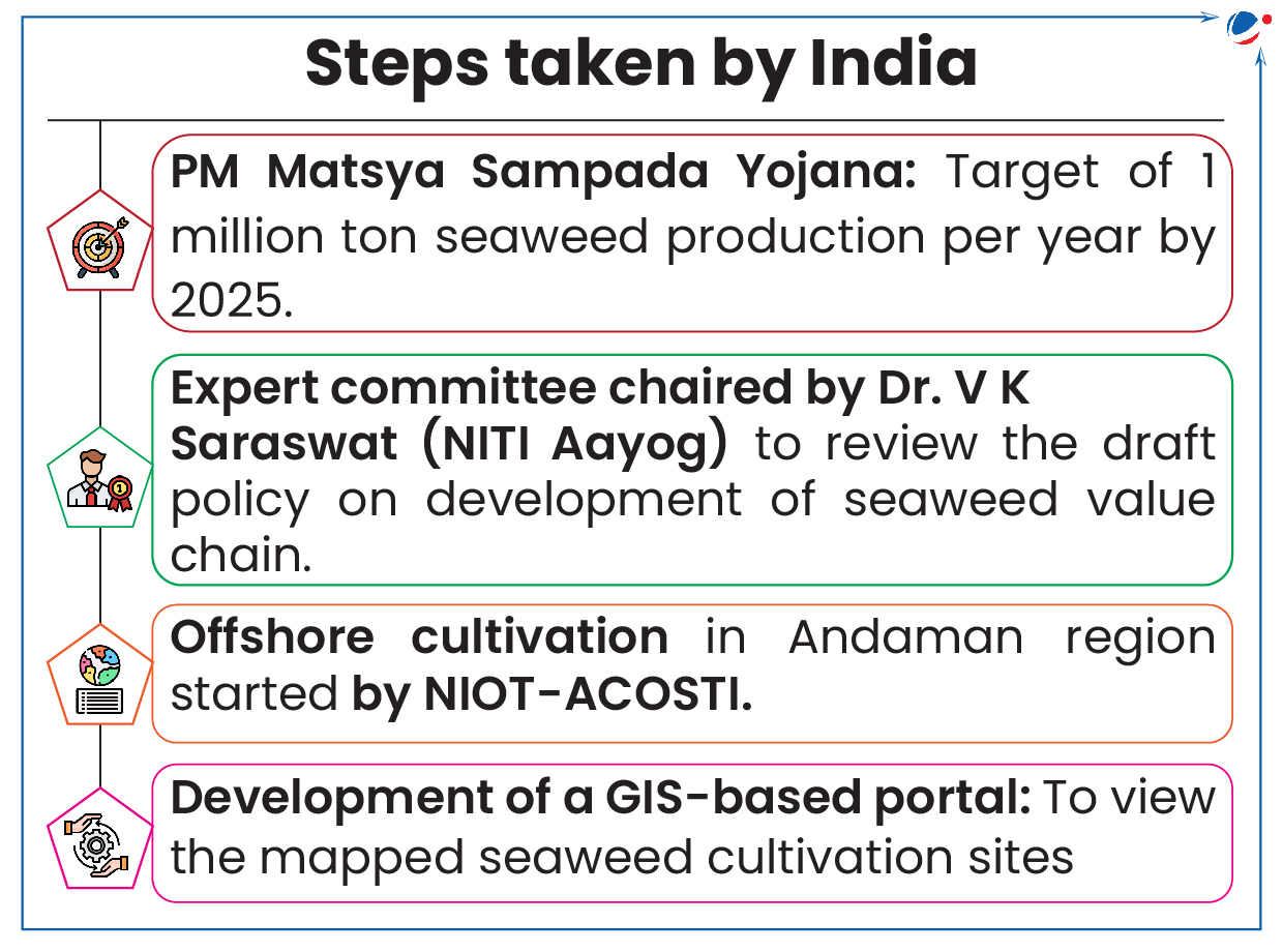 Infographic titled "Steps taken by India" listing four initiatives: PM Matsya Sampada Yojana; Expert committee chaired by Dr. V K Saraswat (NITI Aayog); Offshore cultivation in Andaman region by NIOT-ACOSTI; Development of GIS-based portal.