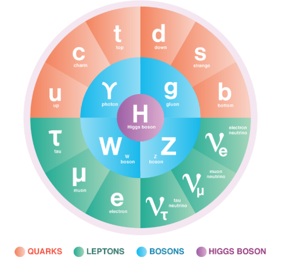 Description: The Standard Model includes the matter particles (quarks and leptons), the force carrying particles (bosons), and the Higgs boson.