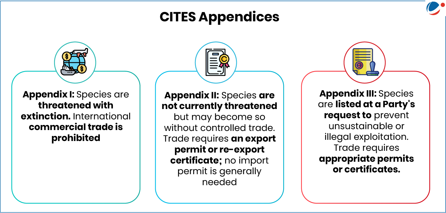 A graphic titled "CITES Appendices" with three sections. Appendix I: Species are threatened with extinction. Trade is prohibited. Appendix II: Species are not threatened but trade requires permits. Appendix III: Species trade requires permits by request of a country.