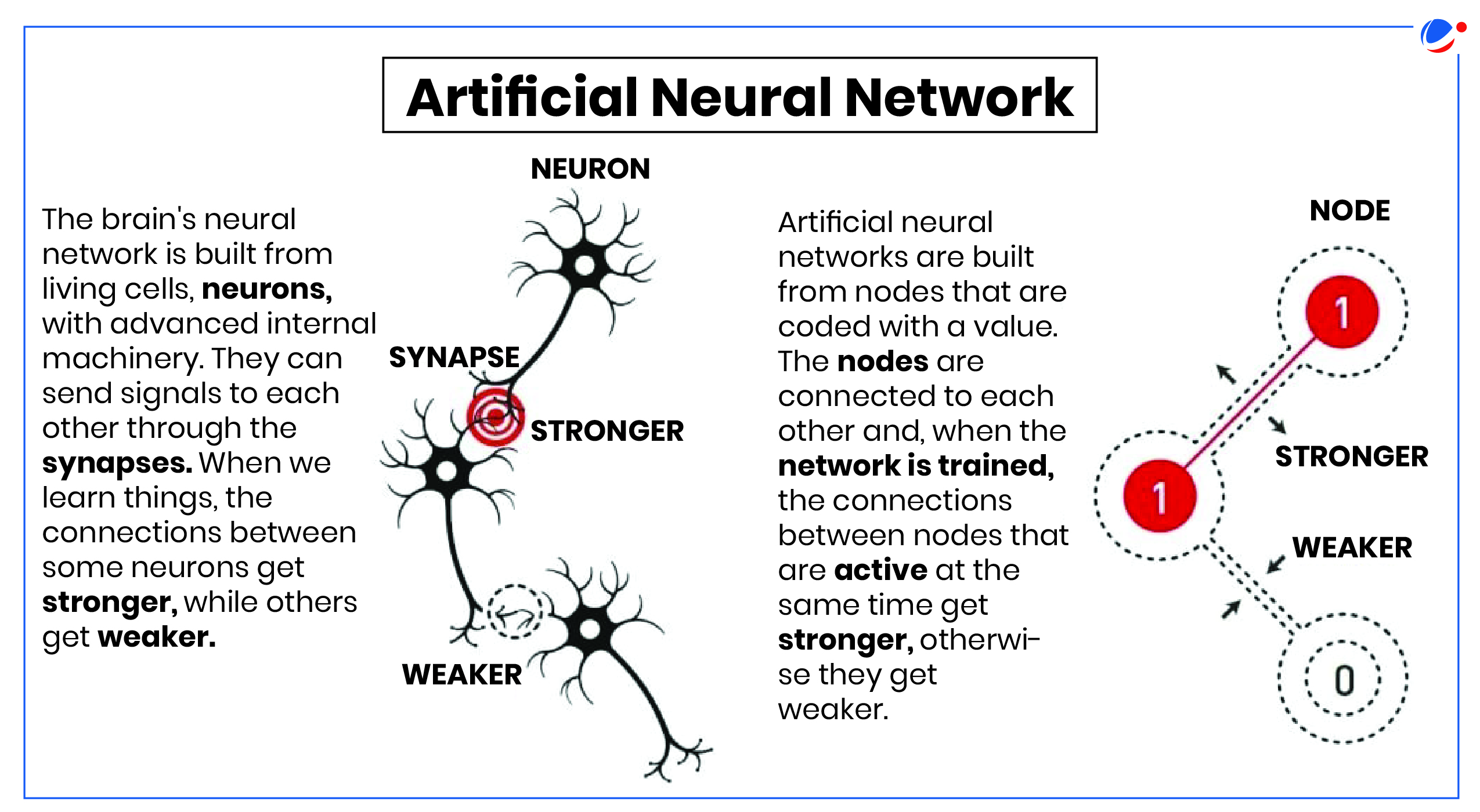 This image compares biological neural networks in the brain with artificial neural networks, showing how both systems strengthen or weaken connections through learning. On the left, it illustrates biological neurons connected through synapses, while on the right, it shows artificial nodes connected through weighted links (represented as 1's and 0's), demonstrating how both systems adapt their connection strengths during learning processes.