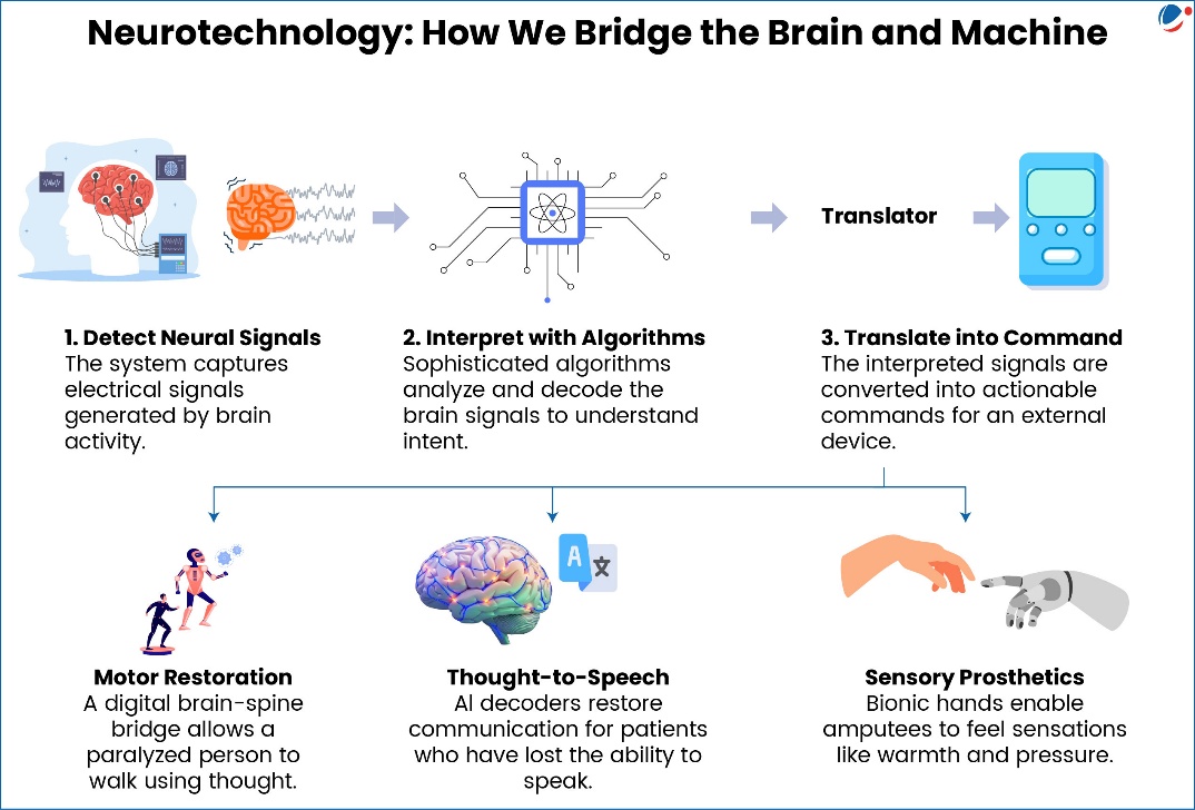 Neurotechnology