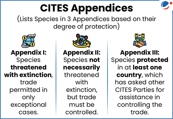 Infographic titled 'CITES Appendices' explaining three categories of species protection.  Appendix I: Species threatened with extinction, trade allowed only in exceptional cases.  Appendix II: Species not necessarily threatened with extinction, but trade must be regulated.  Appendix III: Species protected in at least one country, which requests help from other CITES Parties to control trade.