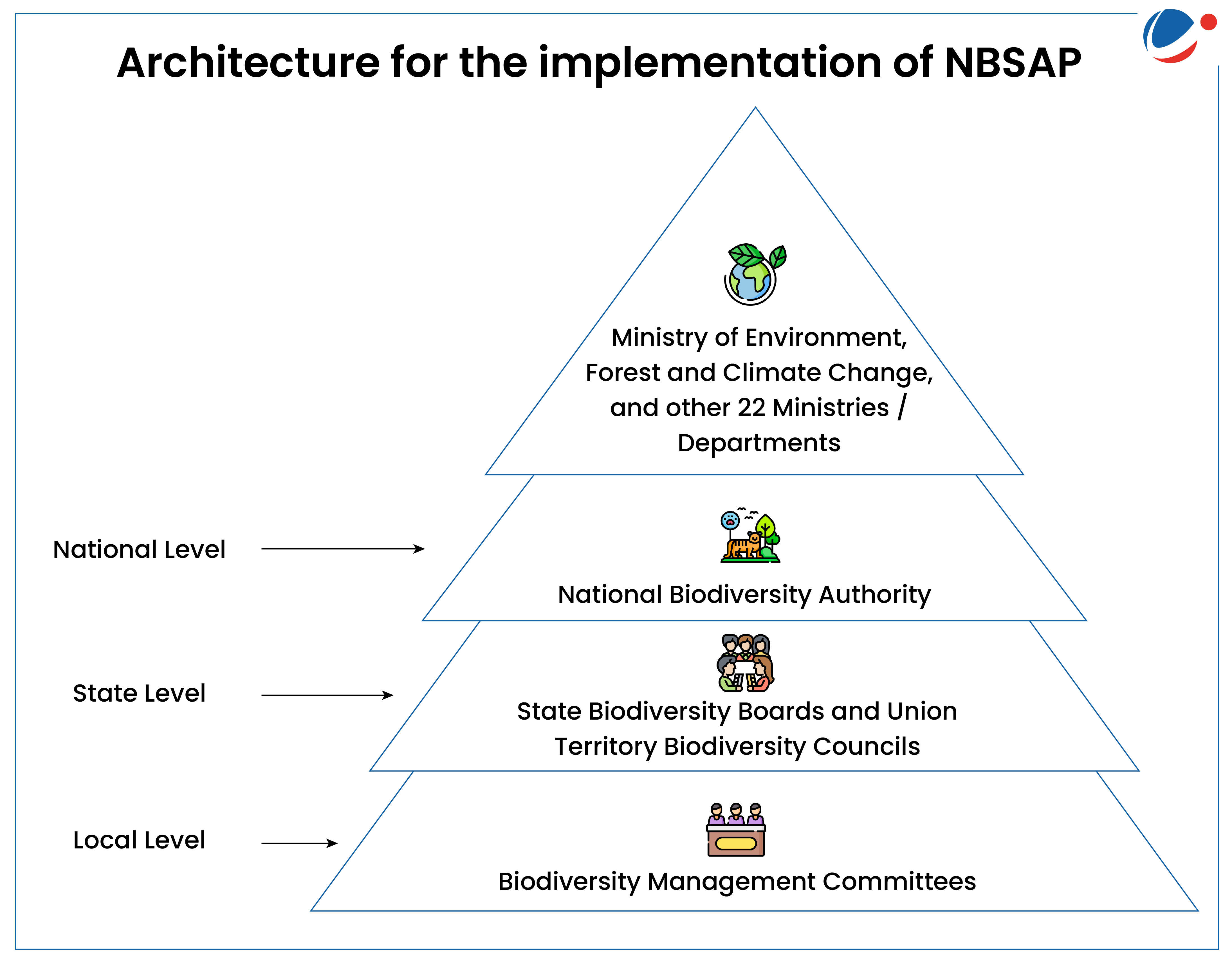 An infographic image illustrating the hierarchical structure for the implementation of the National Biodiversity Strategy and Action Plan (NBSAP). At the top national level, it includes the Ministry of Environment, Forest, and Climate Change along with 22 other ministries/departments, followed by the National Biodiversity Authority. The state level features State Biodiversity Boards and Union Territory Biodiversity Councils, while the local level comprises Biodiversity Management Committees.