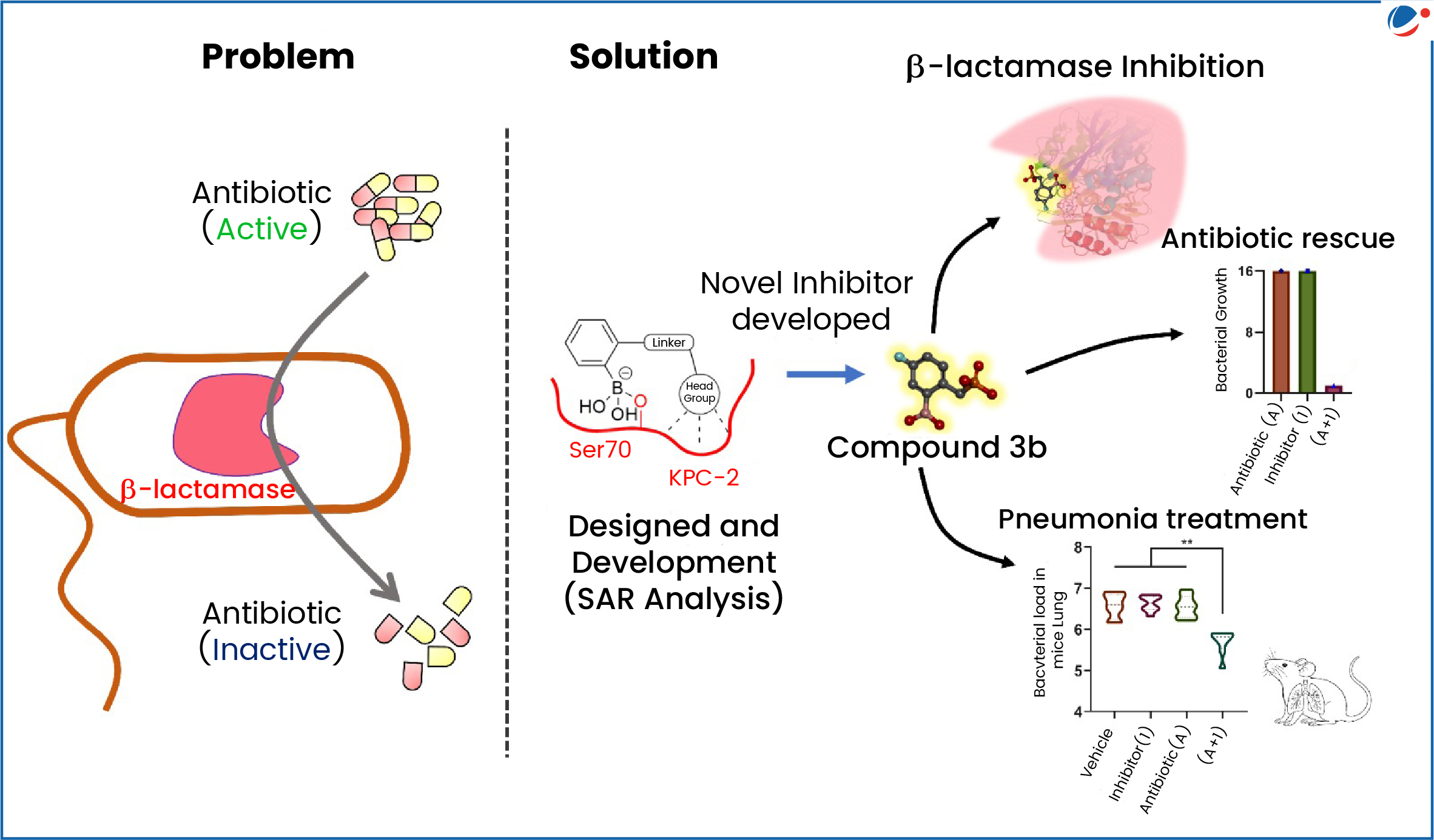 Infographic showing work of Compound 3b