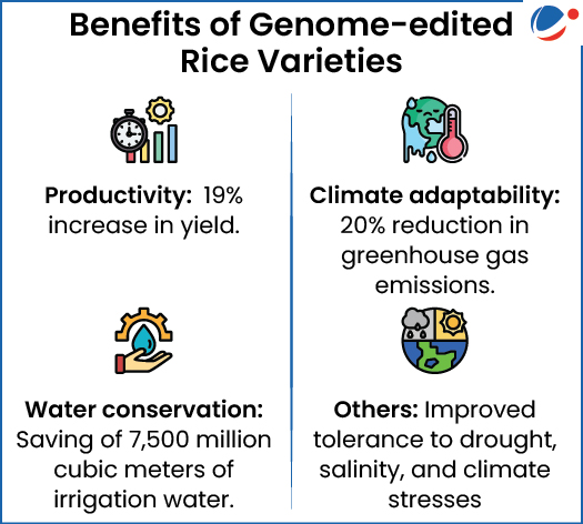 Image showing benefit of the Genome-edited Rice Varieties