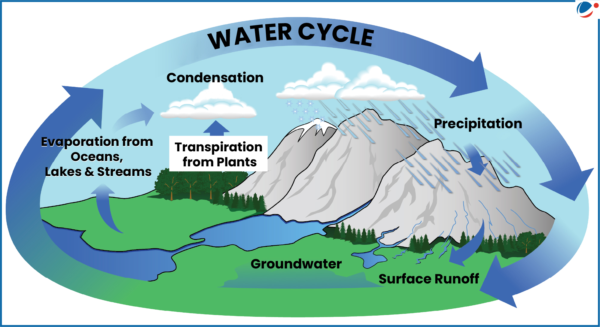 An infographic showing Water Cycle