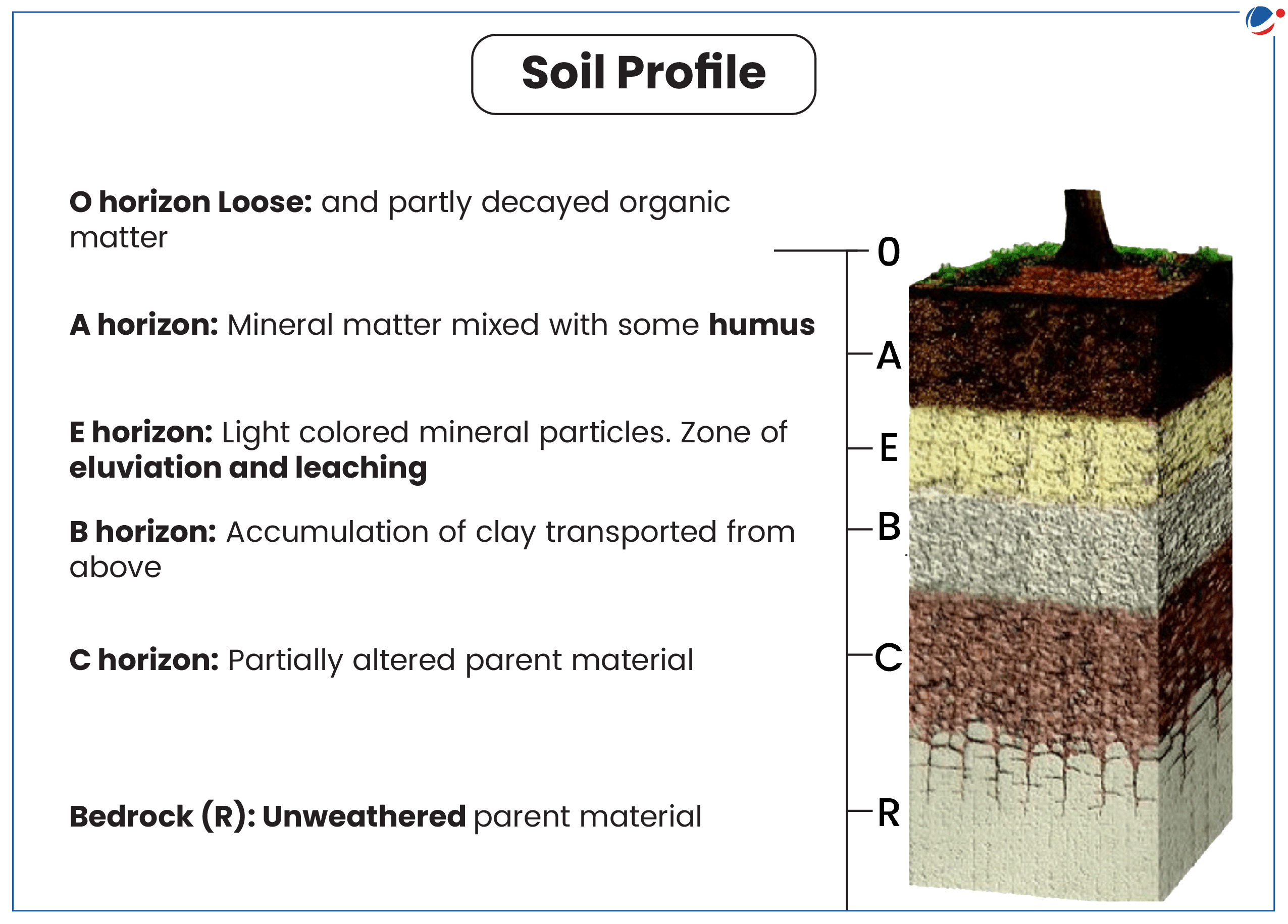 Illustration of soil profile showing different layers labeled: O horizon (loose, partly decayed organic matter), A horizon (mineral matter with humus), E horizon (light-colored minerals, eluvation, leaching), B horizon (clay accumulations), C horizon (partially altered parent material), and R (bedrock, unweathered parent material).