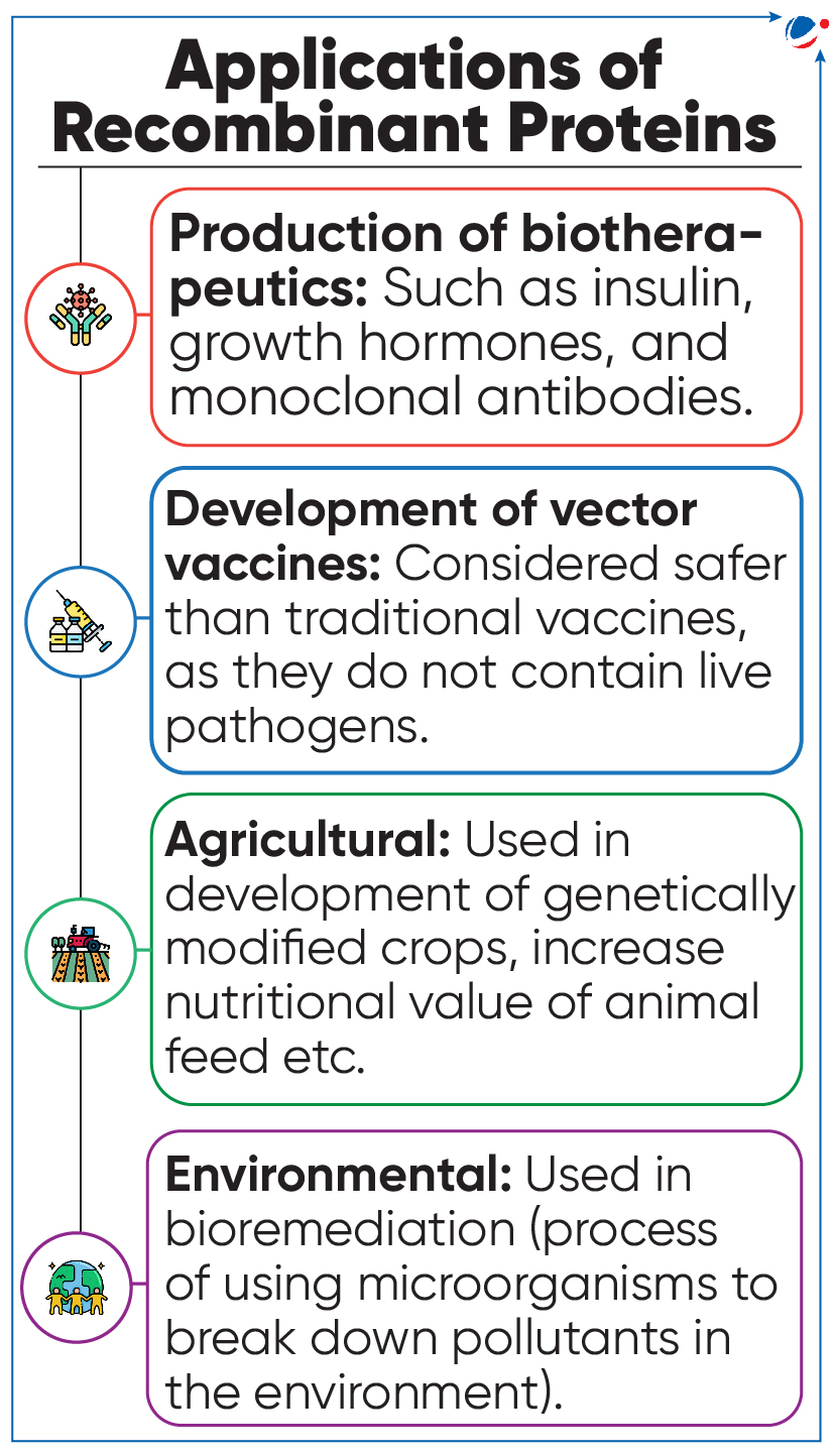 Infographic titled 'Applications of Recombinant Proteins' highlighting its biotherapeutics, vector vaccines, agricultural and environmental applications