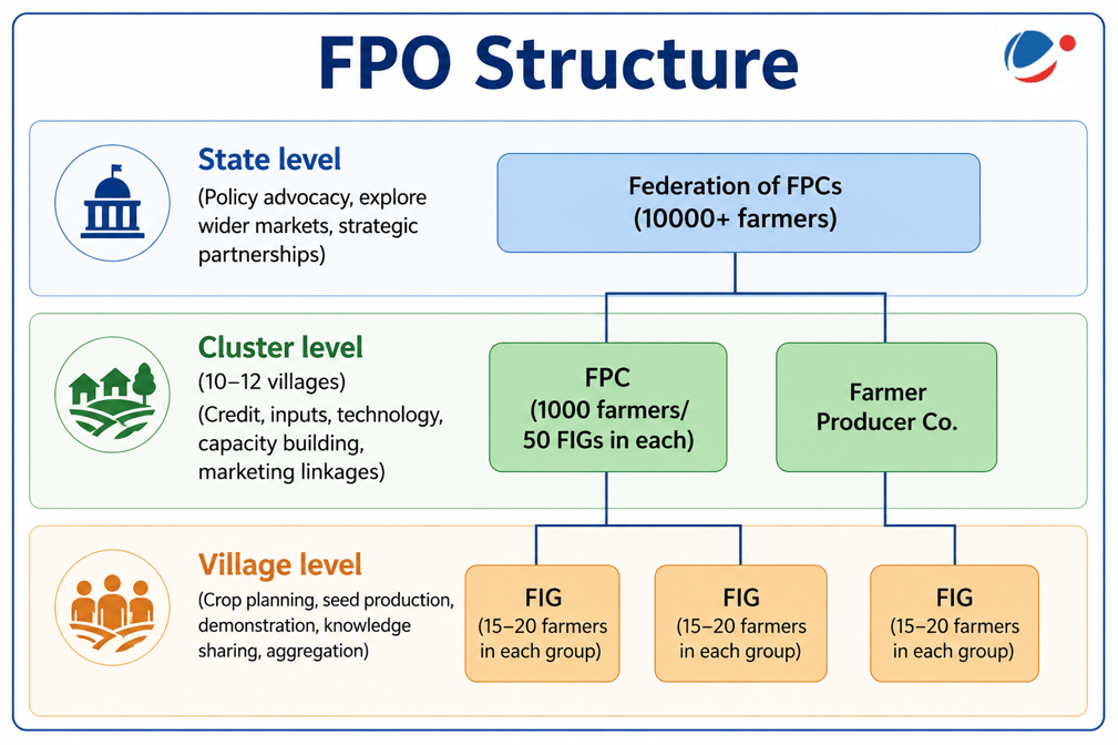 Structure of FPOs in India