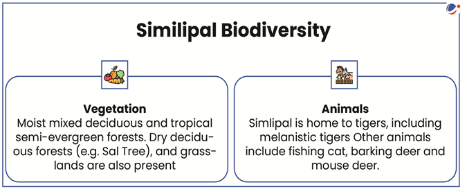 Infographic titled "Similipal Biodiversity" highlighting two key components:  Vegetation:  Describes the presence of moist mixed deciduous and tropical semi-evergreen forests.  Also includes dry deciduous forests (e.g., Sal Tree) and grasslands.  Icon: A tree with fruits and leaves.  Animals:  Similipal is home to tigers, including rare melanistic tigers.  Other notable fauna include the fishing cat, barking deer, and mouse deer.  Icon: Tiger standing on grass.