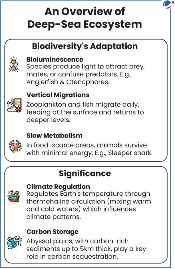 An Image Showing Details of Deep-Sea Ecosystem