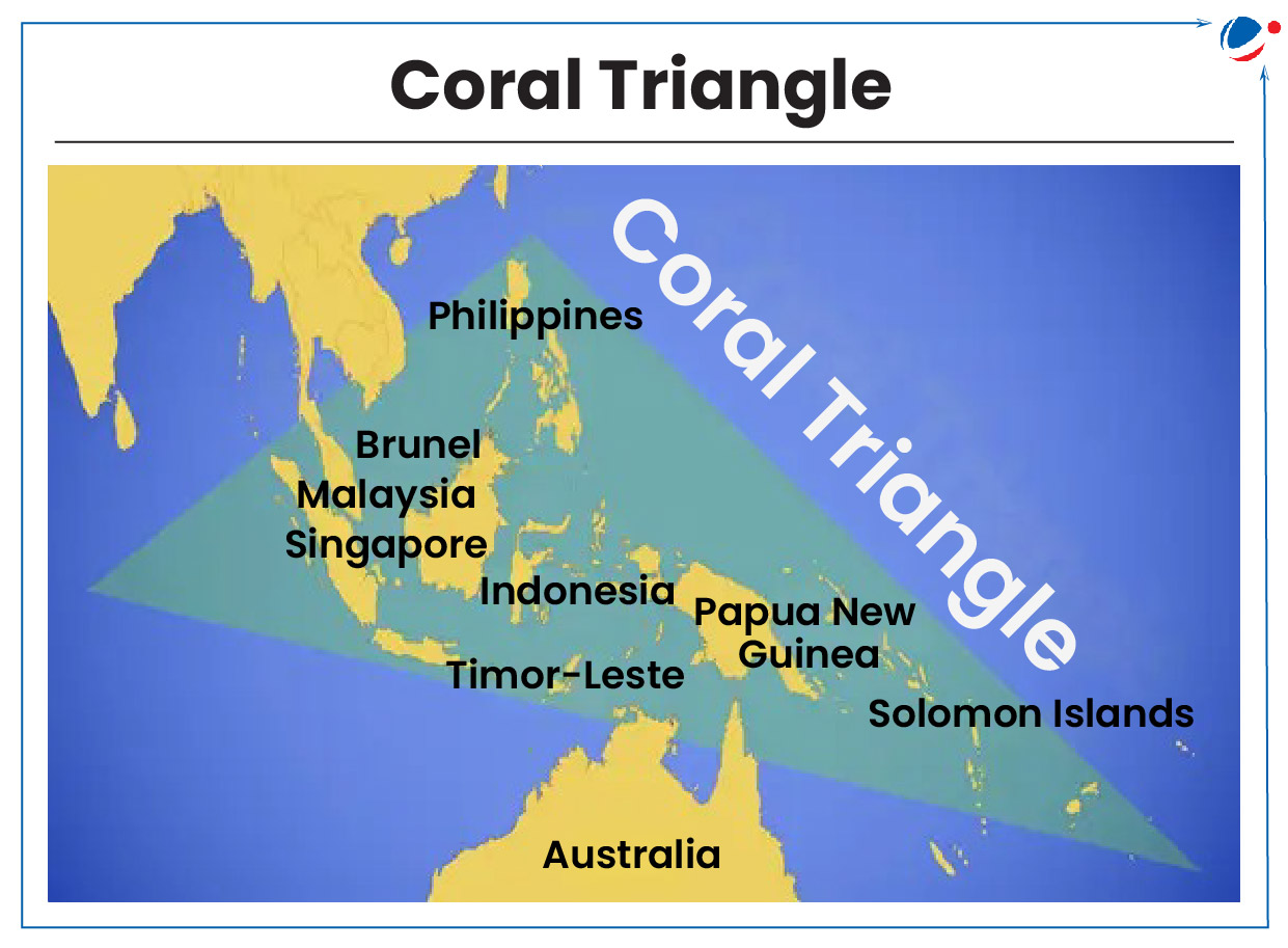 Location of coral triangle on a map