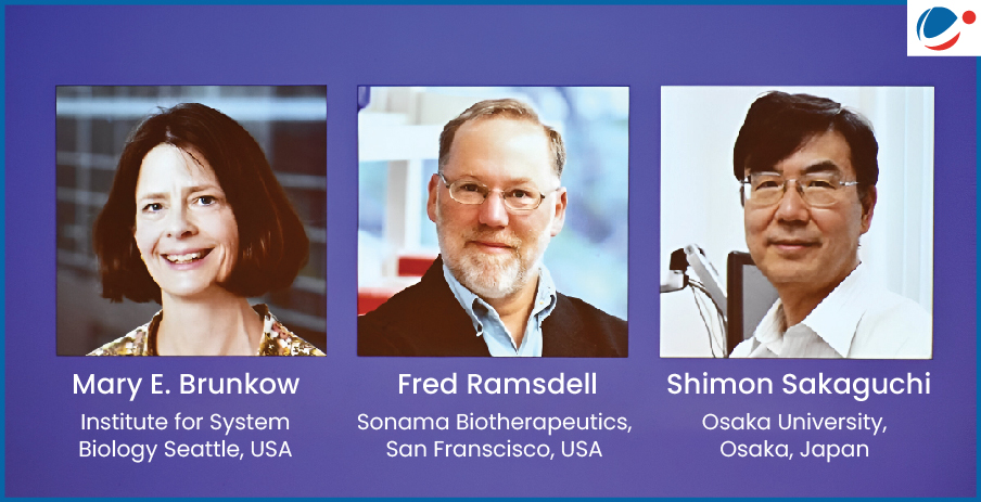 Nobel laureates Mary E. Brunkow, Fred Ramsdell, and Shimon Sakaguchi, awarded for discoveries on peripheral immune tolerance.