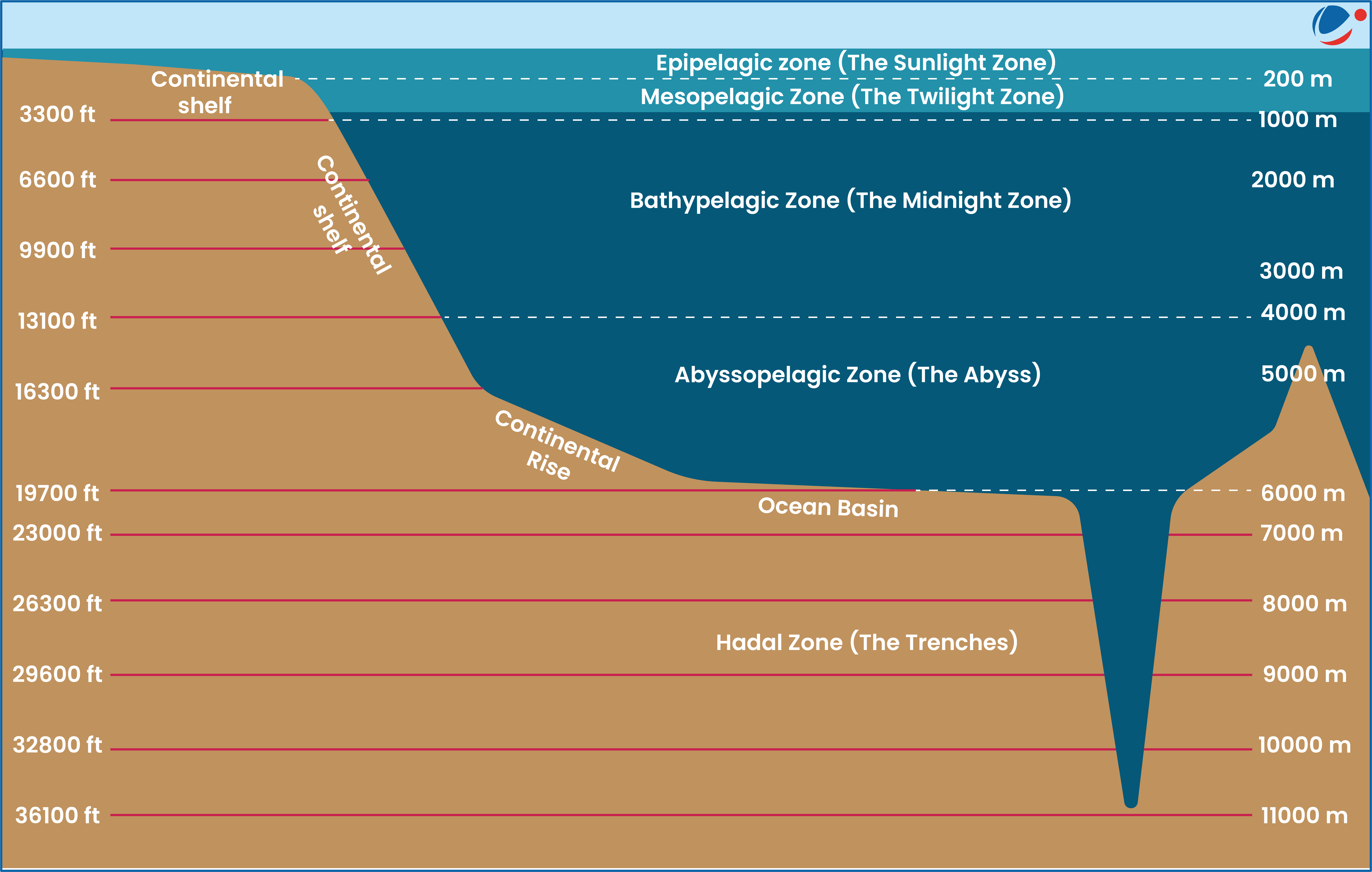 An infographic showing different zones of ocean