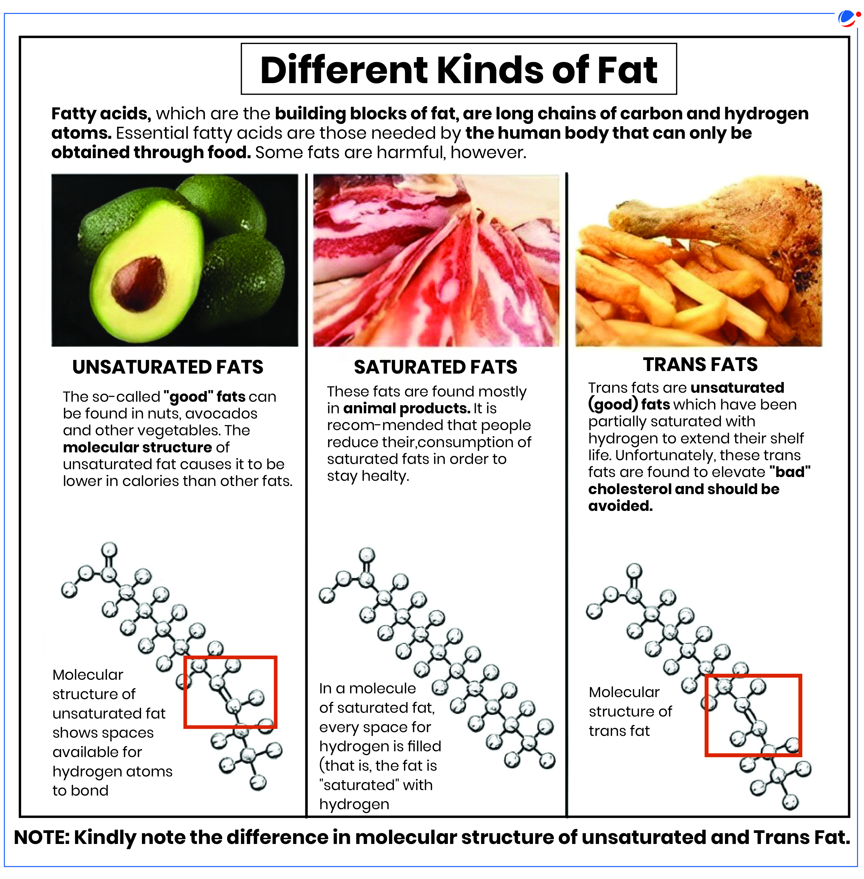 An infographic titled "Different Kinds of Fat" displays information about unsaturated and trans fats with text and corresponding molecular structure diagrams. Unsaturated fats, found in nuts and avocados, are healthier. Trans fats, from hydrogenated oils, are harmful.