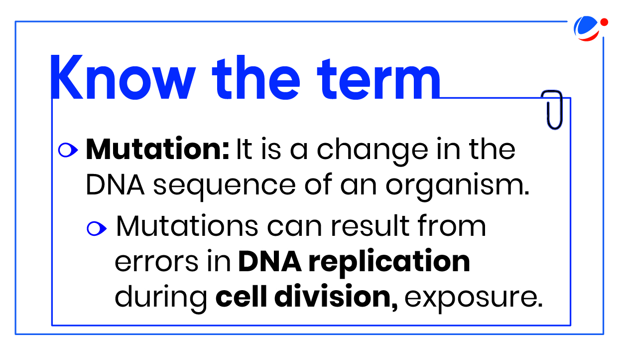 A diagram illustrating the phrase "Know the Term Mutation" with clear, bold lettering and a simple design.