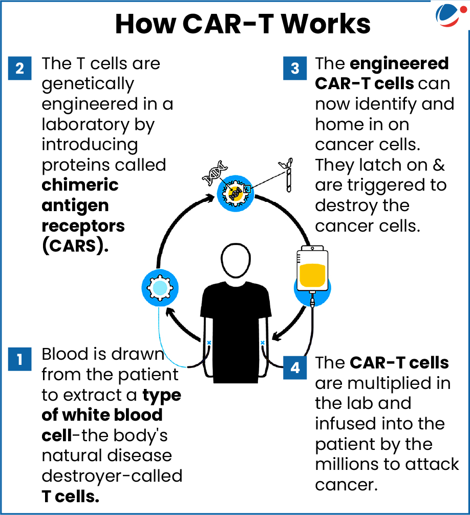 Infographic explaining how CAR-T works